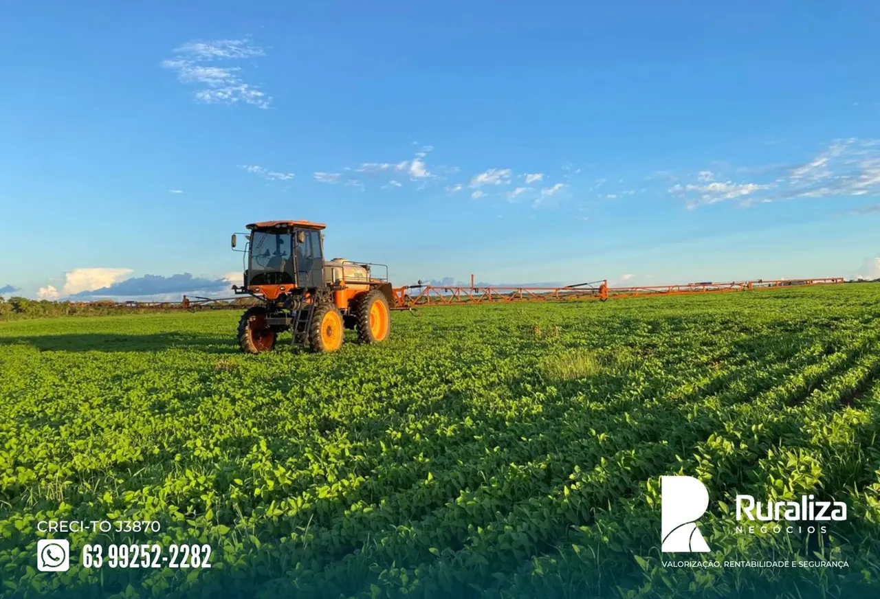 Arrendamento para soja. Plantando 350 ha com possibilidade de expandir 1.000 ha