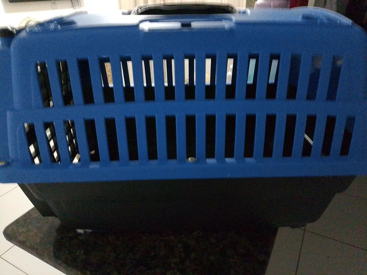 Caixa de Transporte para Pets por 70 estar novinha usada 1 vez só  falar Polyana * - Foto 5
