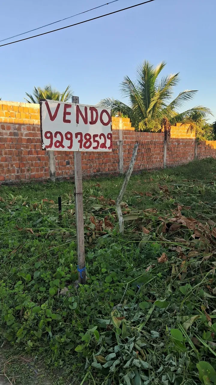 Venda de lote 