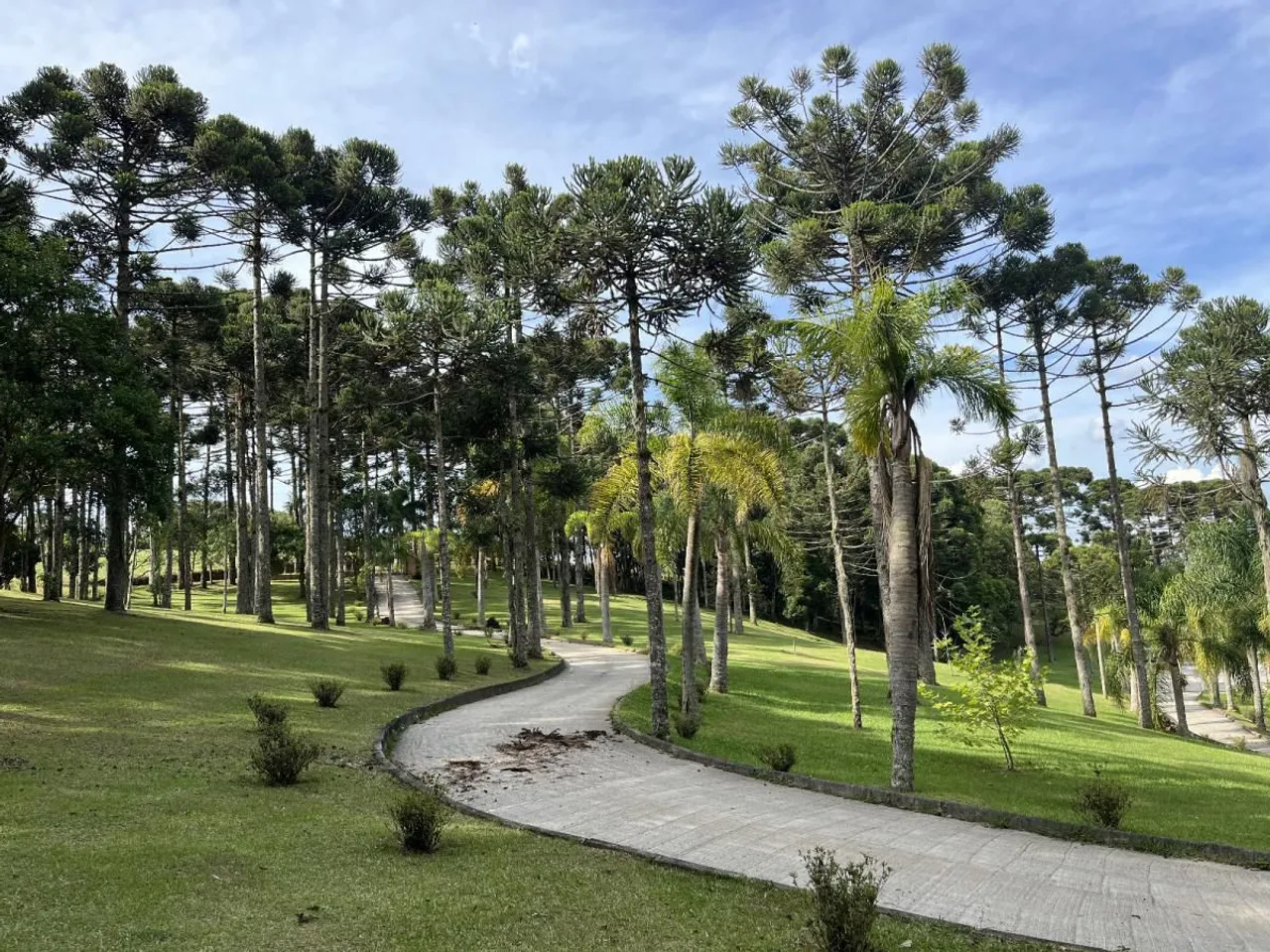 Sitio de luxo em campo alegre
