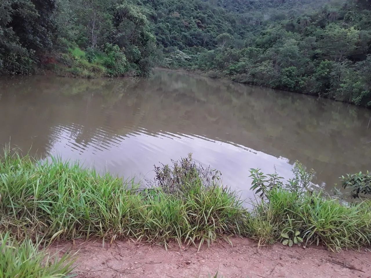 Fazenda de 250 alqueires cocalzinho-go - Foto 5