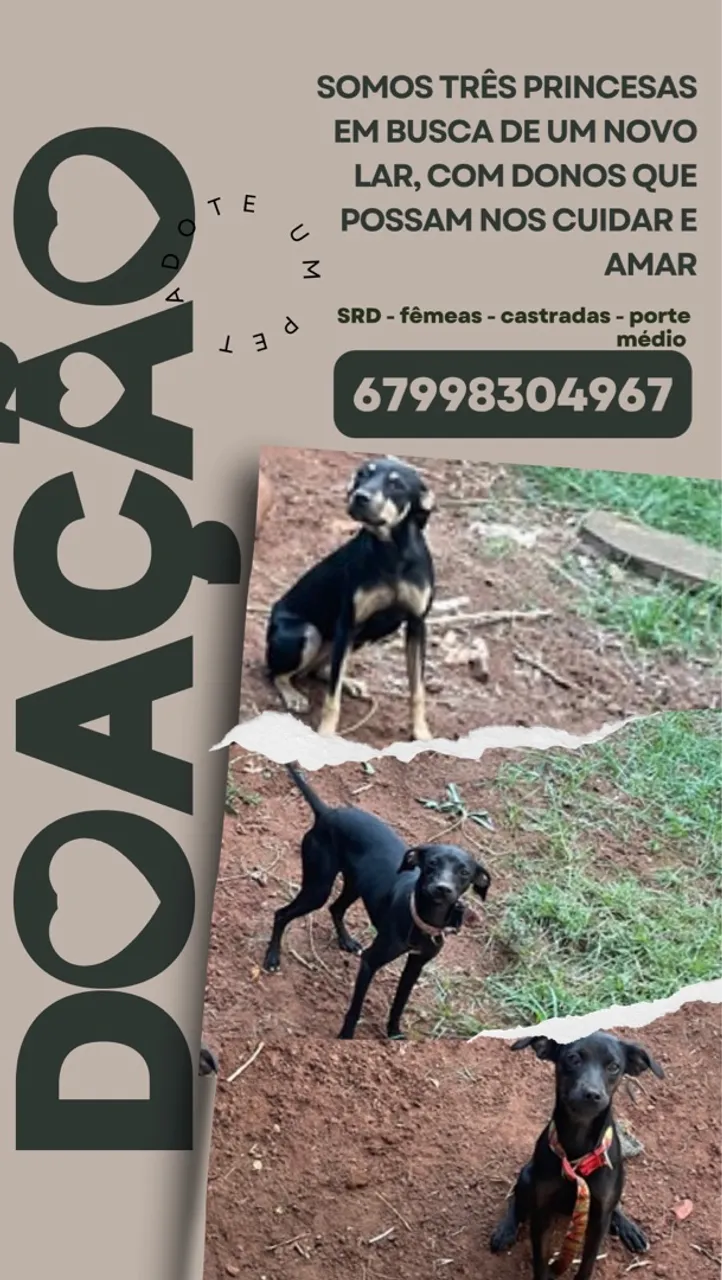 URGENTE DOAÇÃO