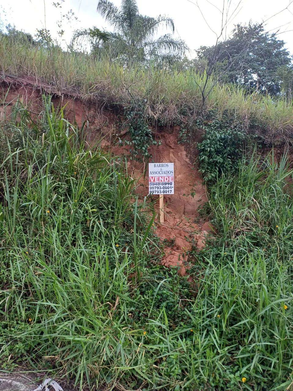 Foto - São José dos Campos - Chácaras Pousada do Vale