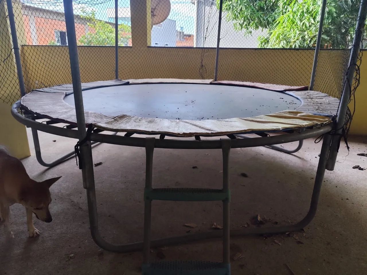 Pula pula 2,40metros - Foto 3