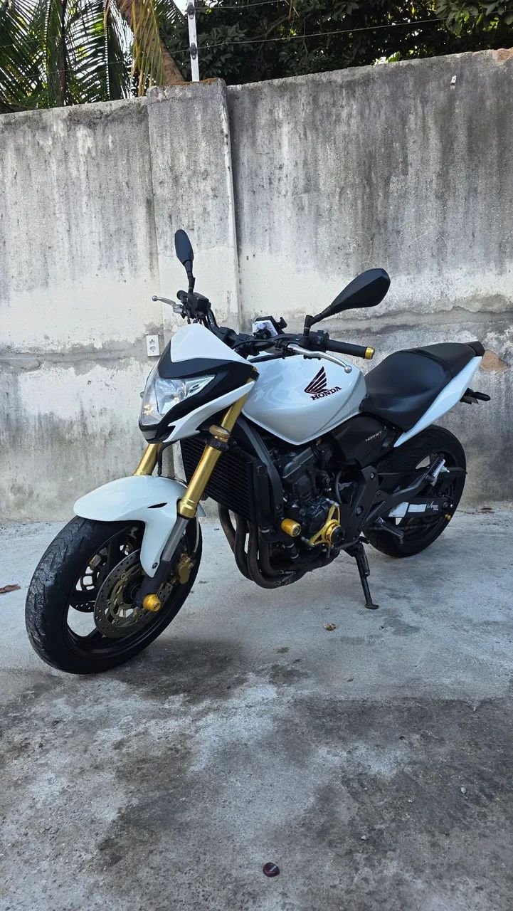 Hornet 2013