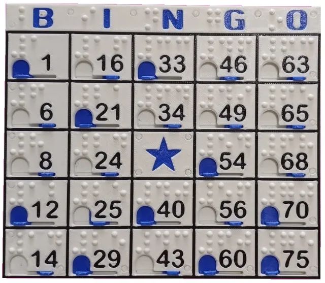 Cartela de BINGO para deficientes visuais - Foto 2
