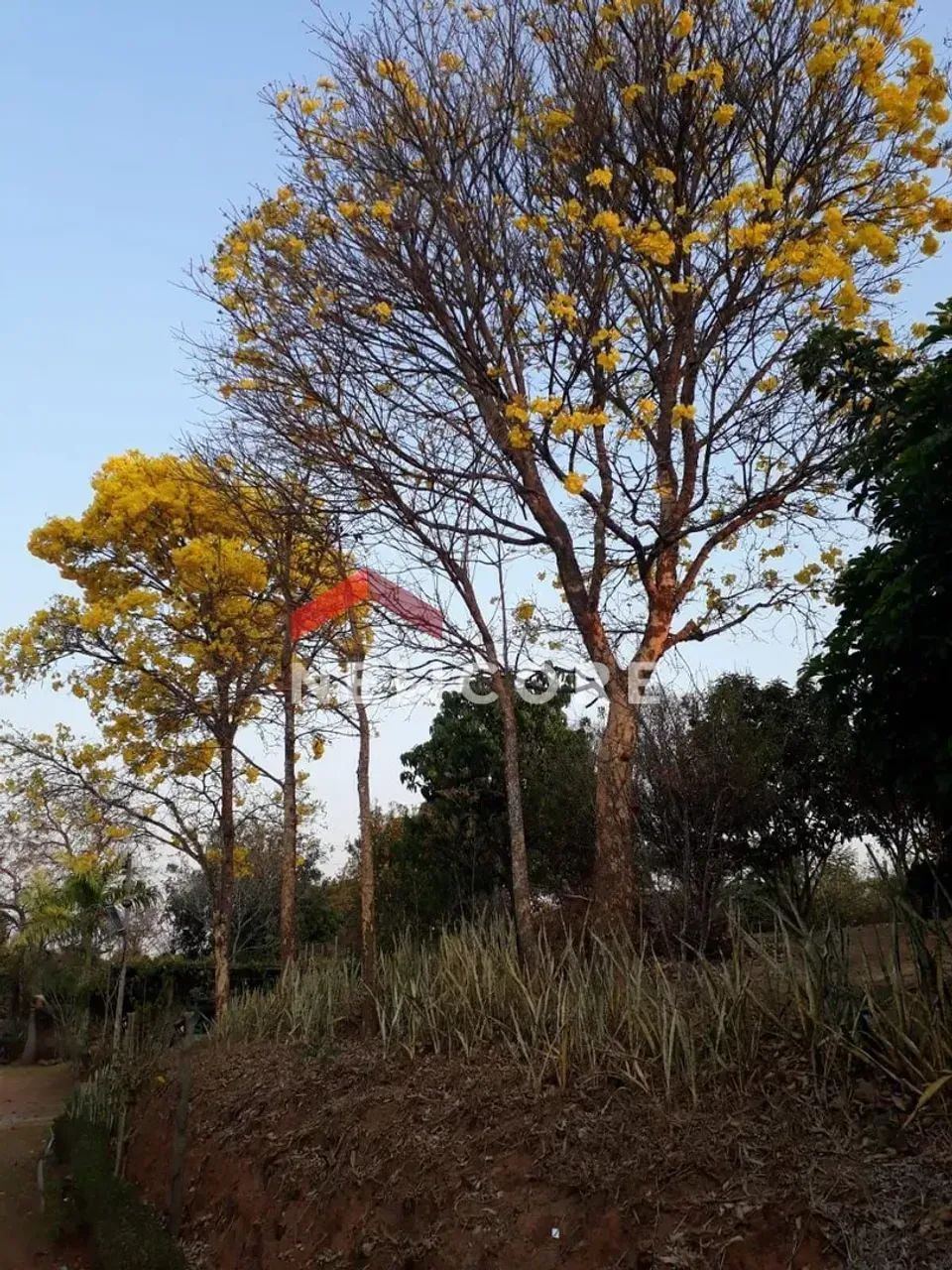 Sítio em Área Rural - Área Rural de Esmeraldas - Esmeraldas/MG - Foto 5