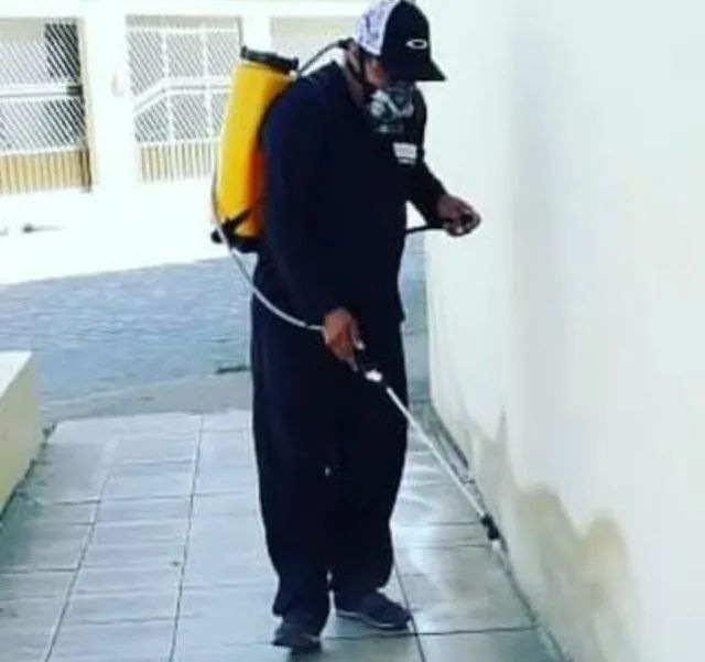 Dedetização Profissional 