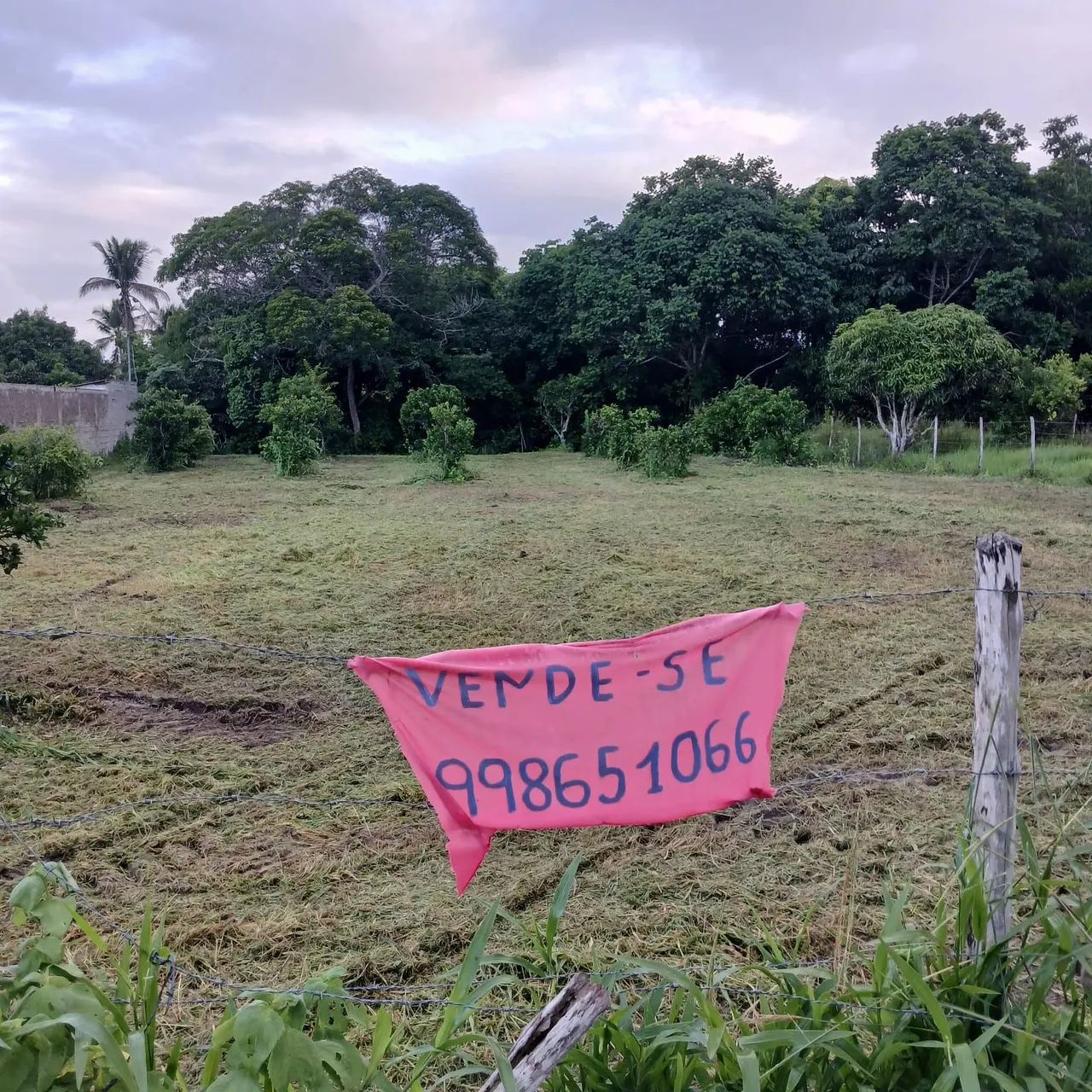 Terreno para venda no município de  Salgado  - Foto 2