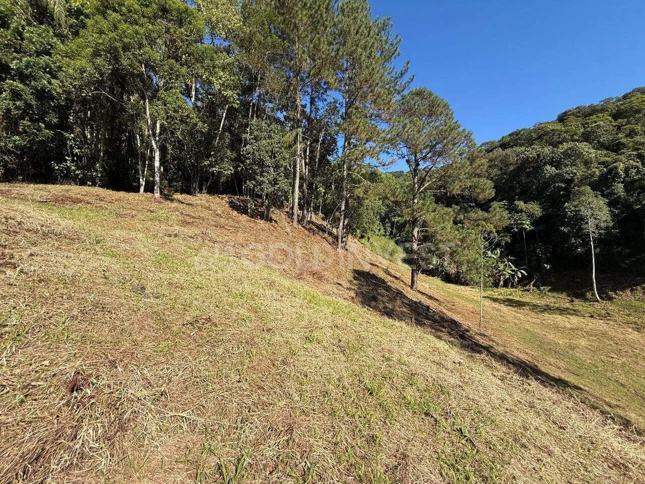 TERRENO PARA SÍTIO EM GUABIRUBA - Foto 3