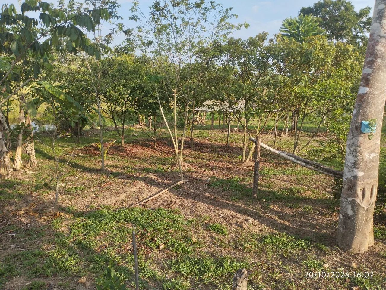 Vendo chácara medindo 40x70m - Foto 4