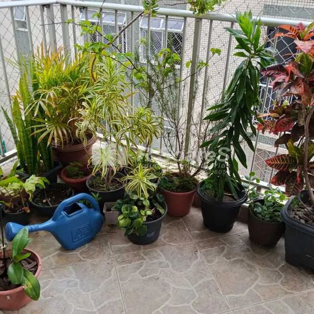 Apartamento : / Residencial / Campinho - Foto 4