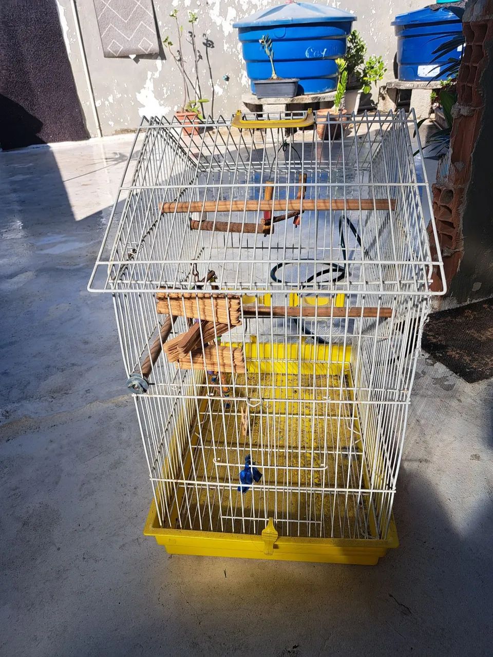 Gaiola para calopsita 