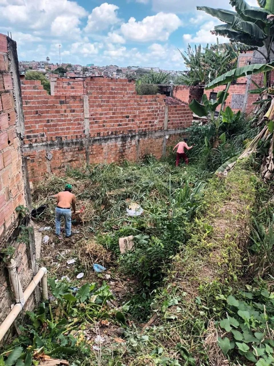 Terreno 