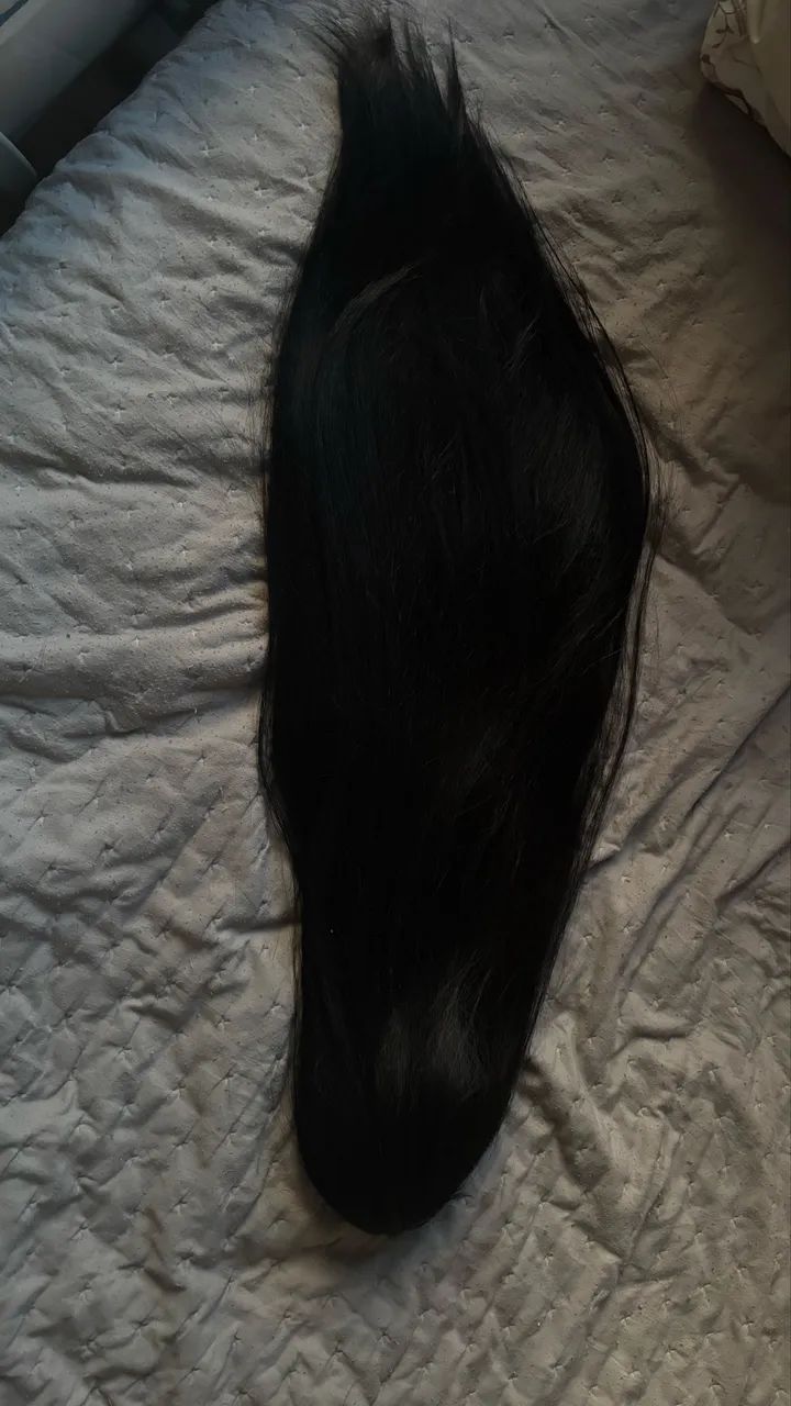 Rabo de cavalo humano  - Foto 3