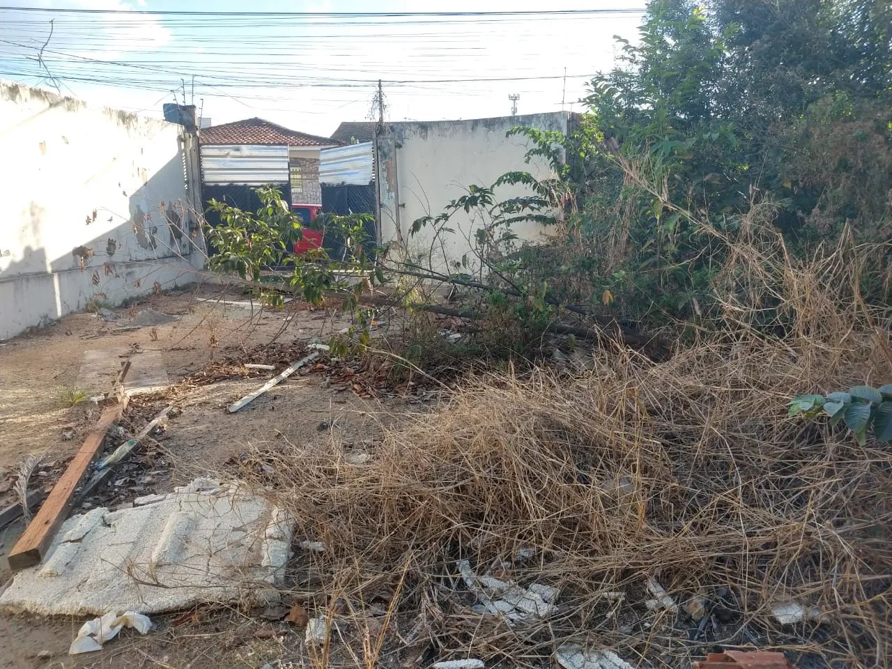 Lote à Venda no Setor Sudoeste com 360m² - Foto 5