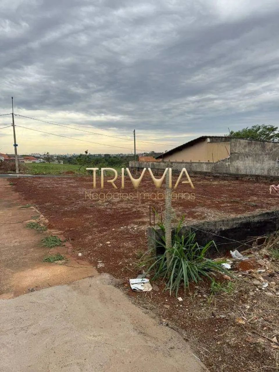 Terreno à Venda  Excelente Oportunidade para Construção - Foto 4