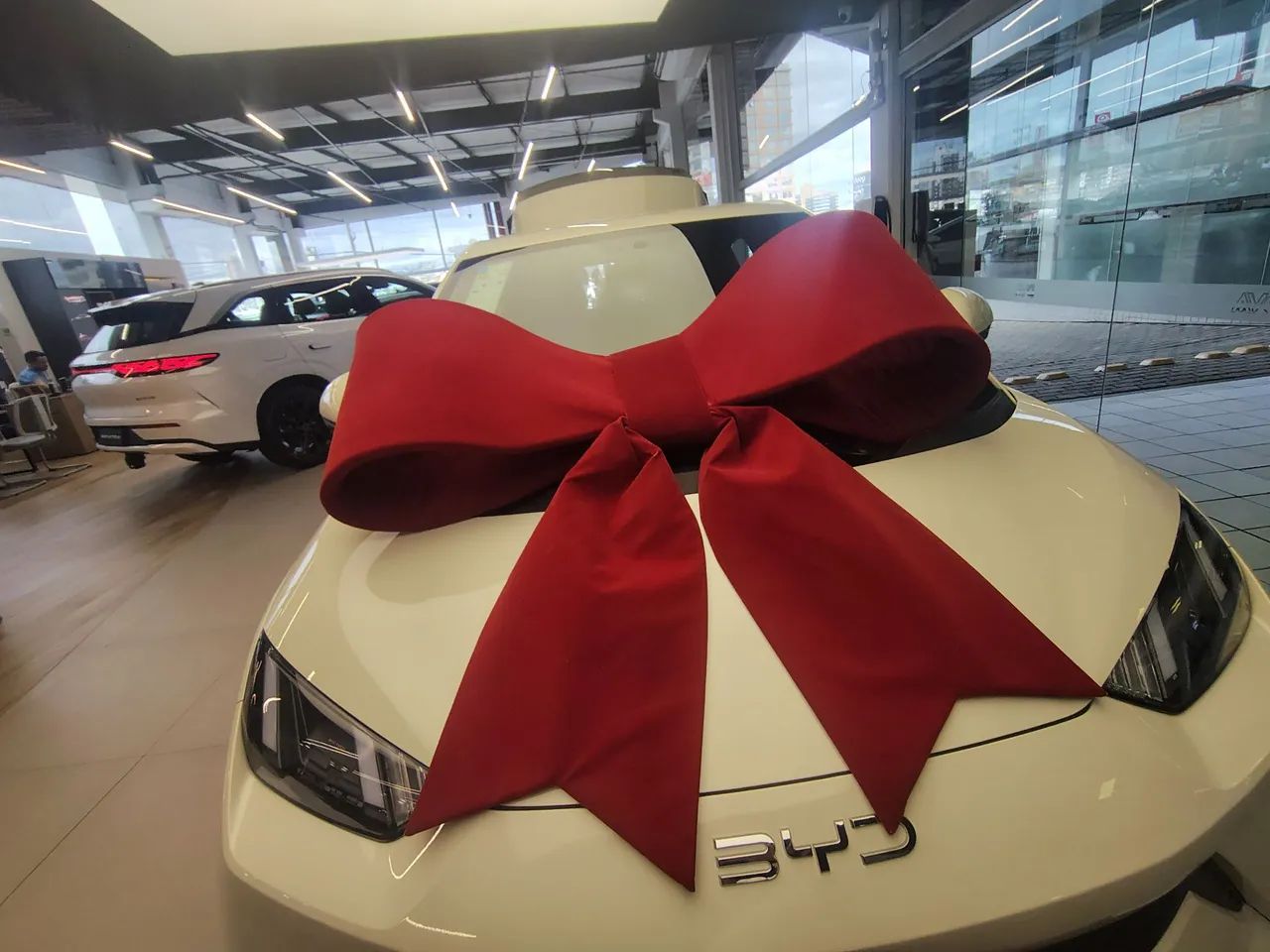 BYD Dolphin Mini (Elétrico) 2026 - Foto 3