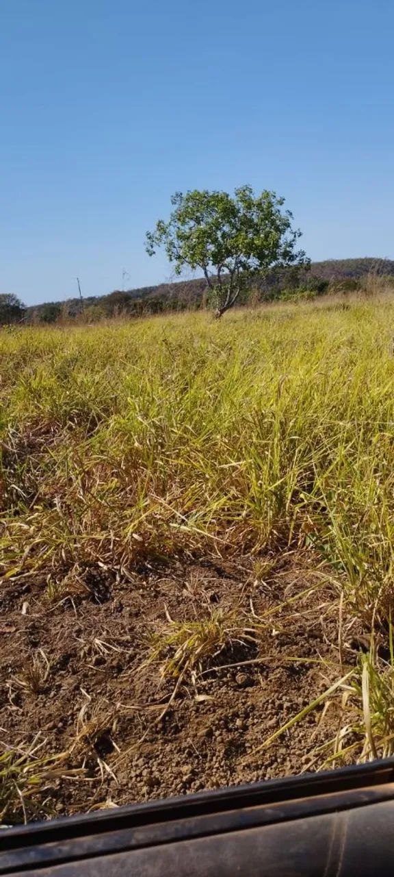Chácara em Palmas. 600 mil. - Foto 2
