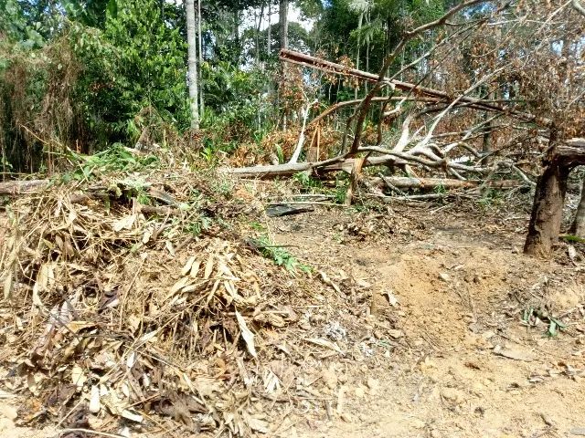 LOTE da Chácara São Raimundo  - Foto 5