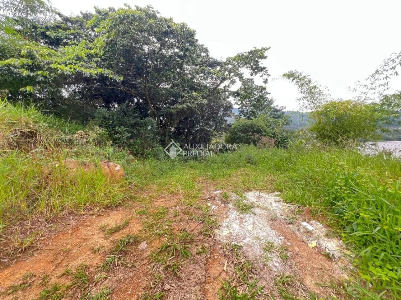 Terreno à venda no Itacorubi - Florianópolis | 622 m² - Foto 5