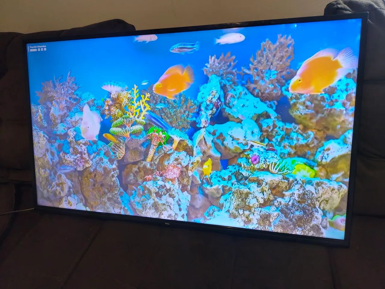 Smart 55 polegadas 4k da TCL sem detalhes como nova