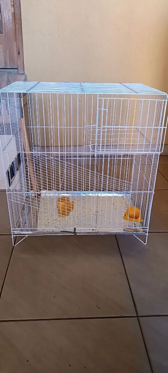 Gaiola calopsita  - Foto 3