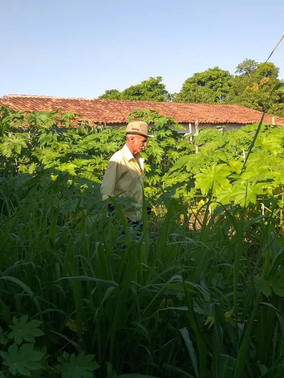 Terreno no centro de Uruçuí/ Piauí  - Foto 2