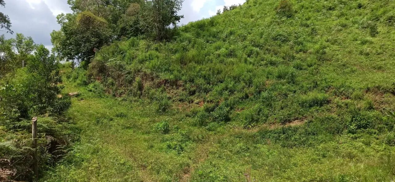 Sítio em Piranguçu - MG - Foto 3