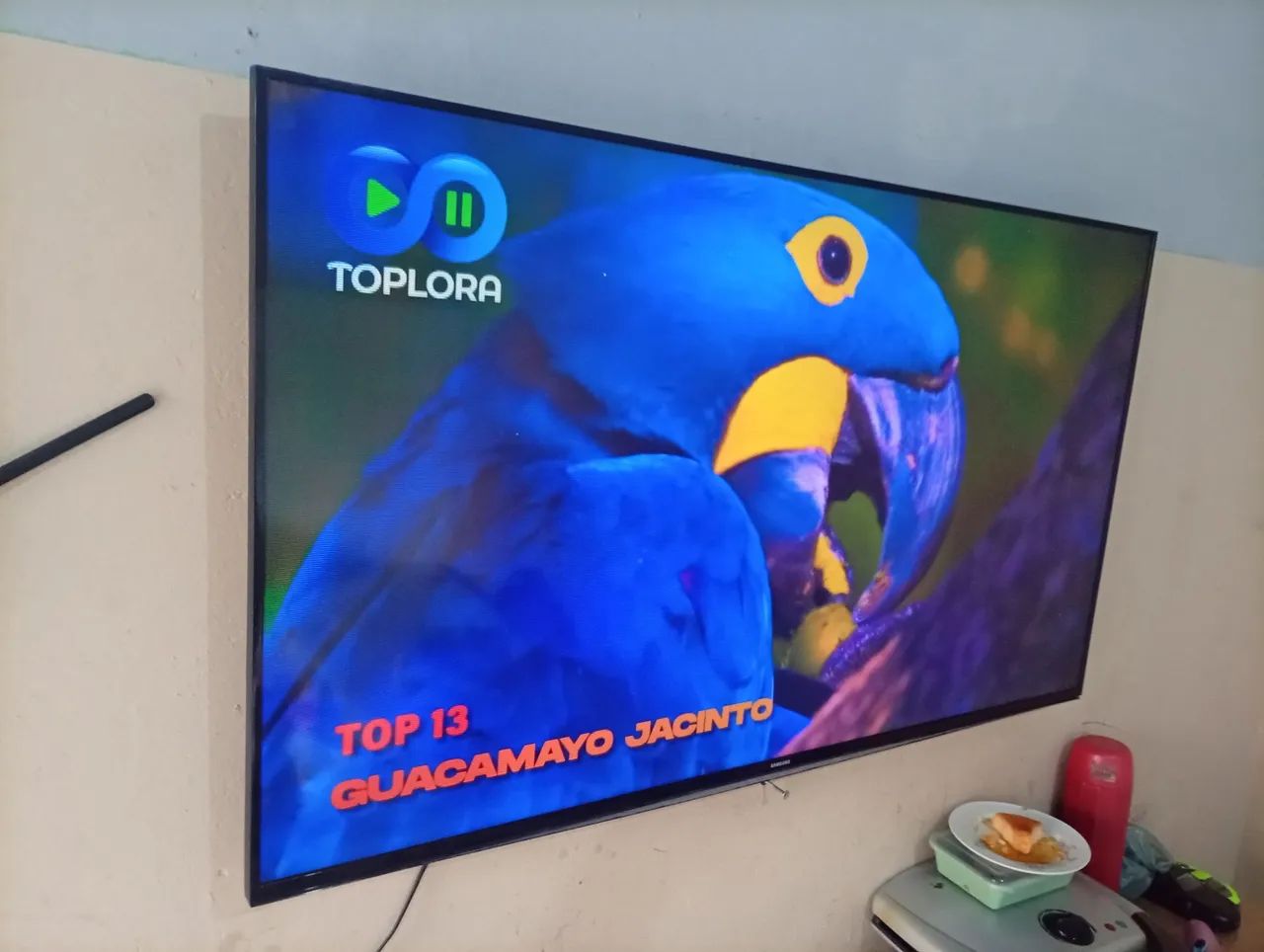 Smart 4k 50 polegadas Philips 