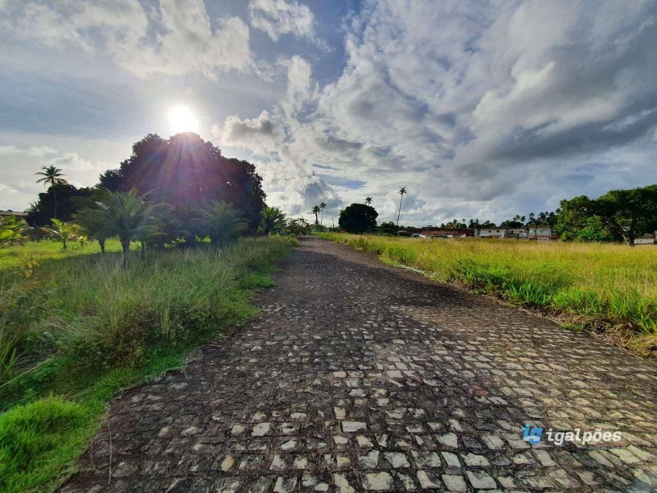 Área com 27.000 m² em Igarassu-PE - Foto 5