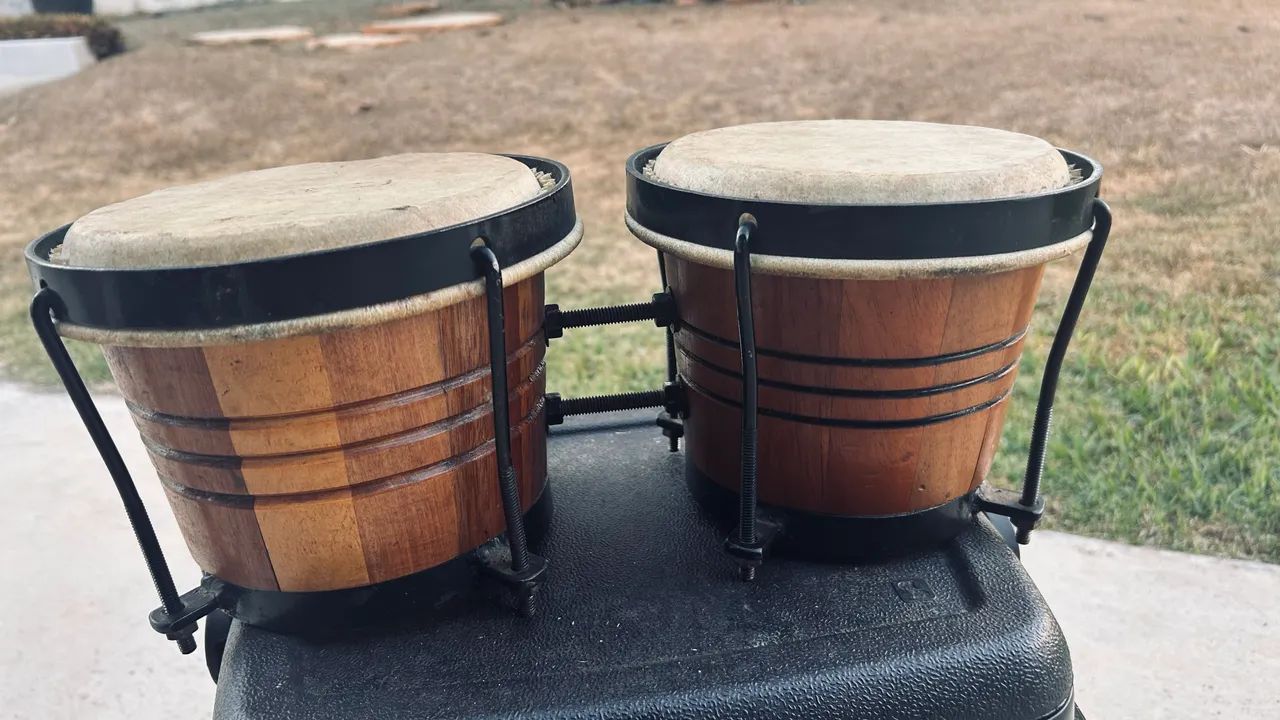 Bongô