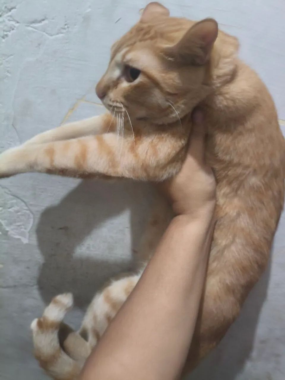 Doação 