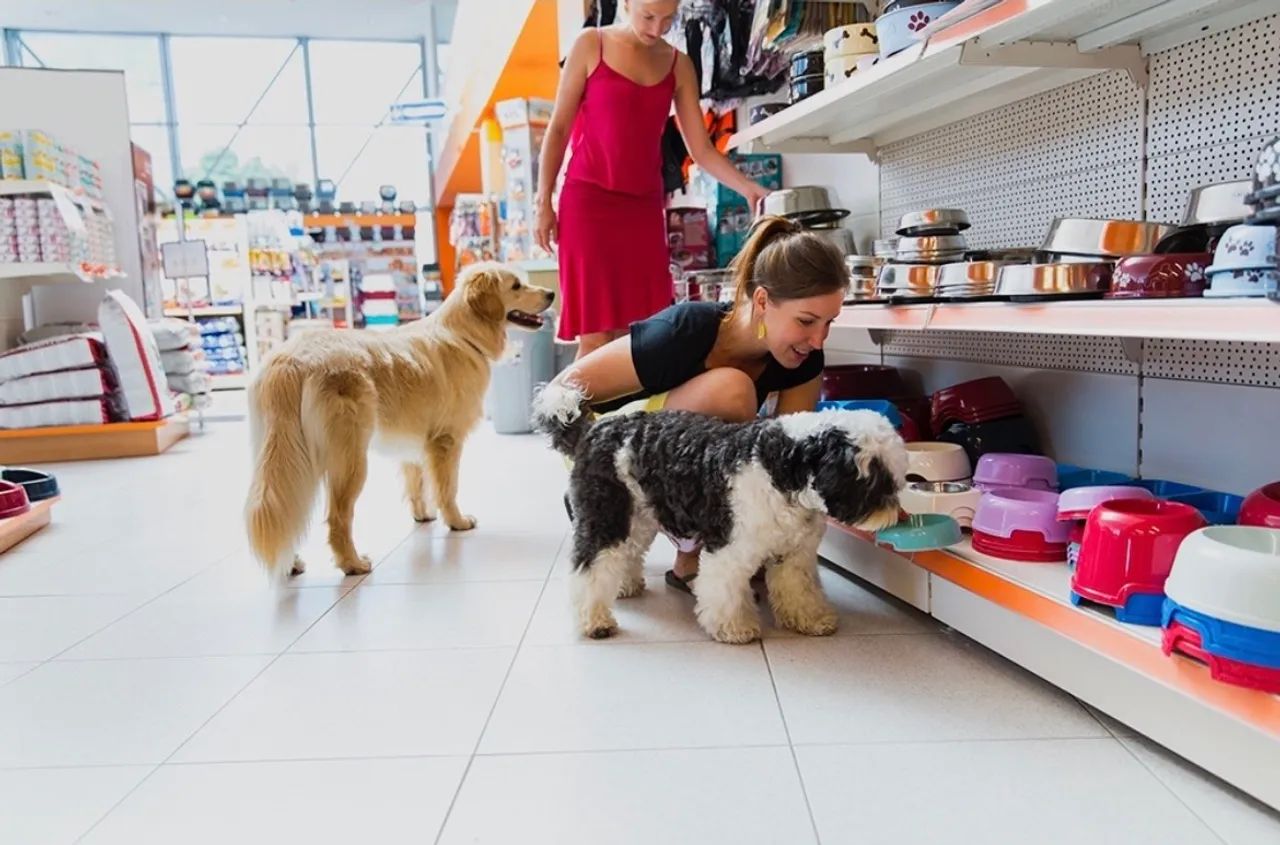 Artigos e Acessórios para Pet Shop  - Foto 3