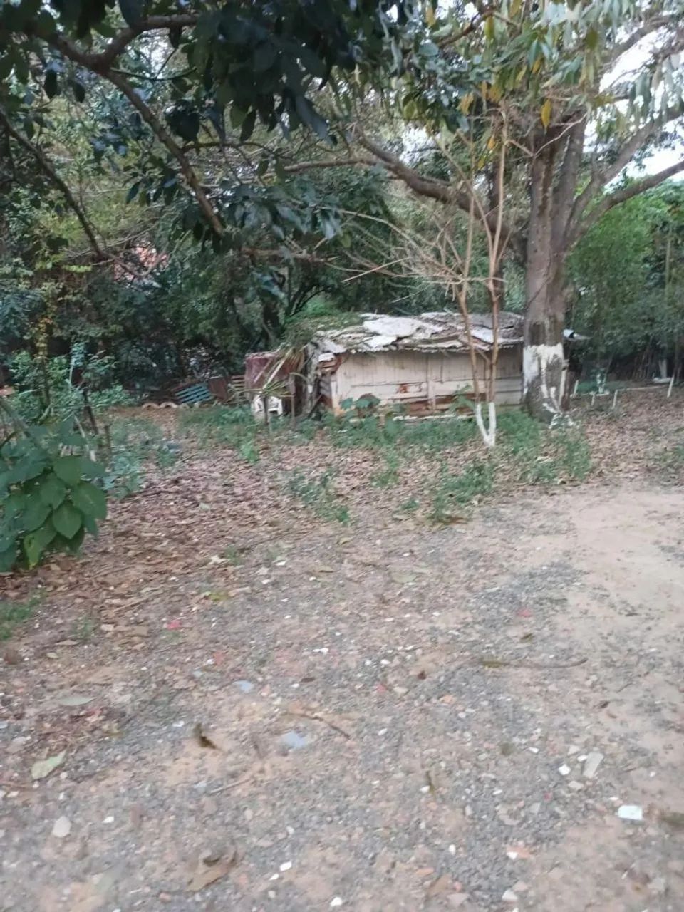 Chacara no asfalto dentro do bairro - Foto 3