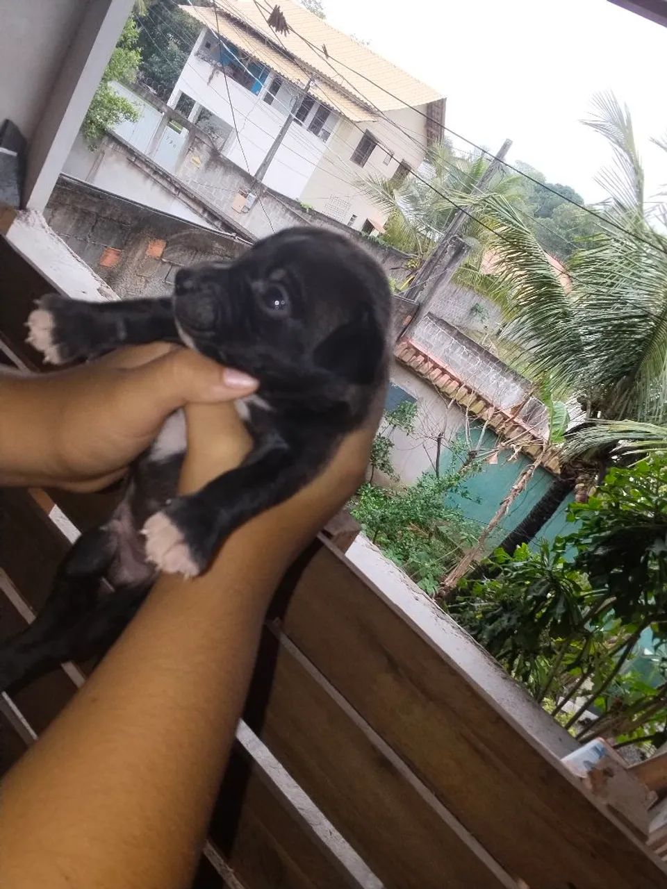 DOAÇÃO!!!
