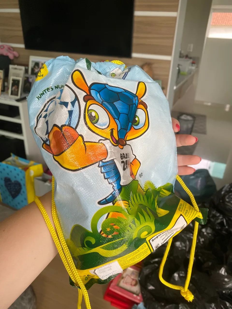 Fuleco Copa do Brasil 2014 - Foto 4