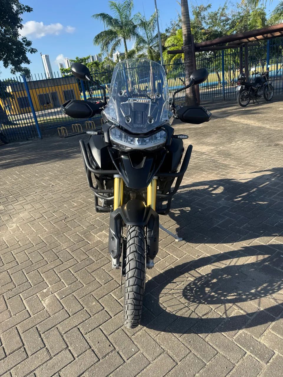TIGER 1200 BLACK EDITION 2024 - Foto 5