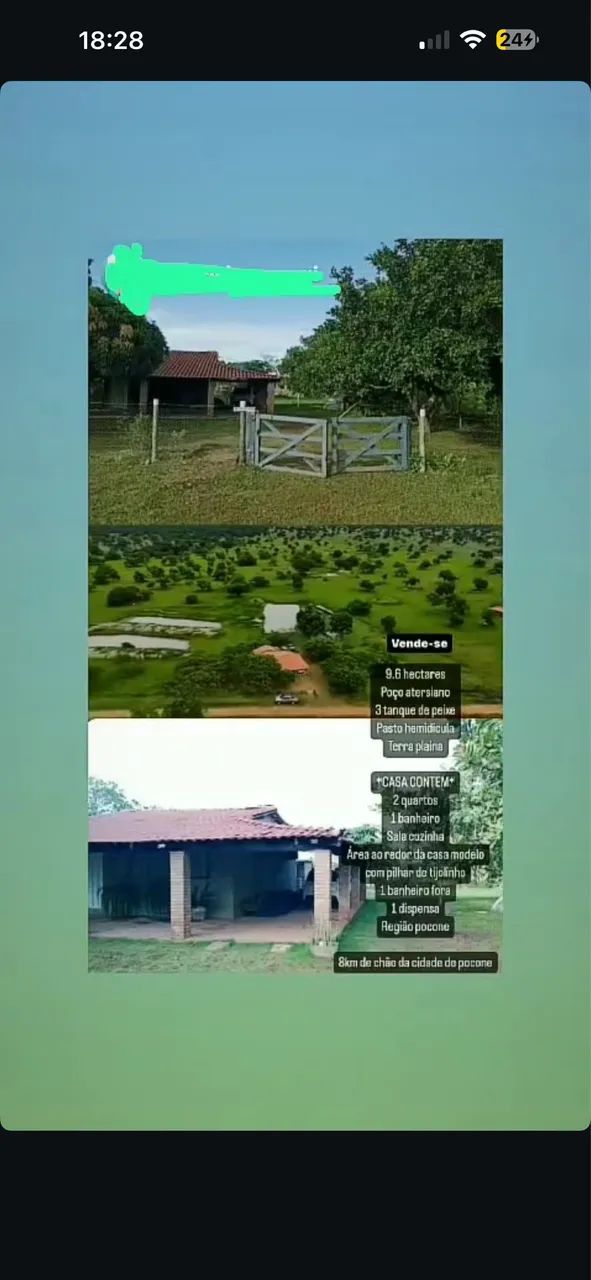 VENDO SÍTIO EM POCONE 10HC  - Foto 5