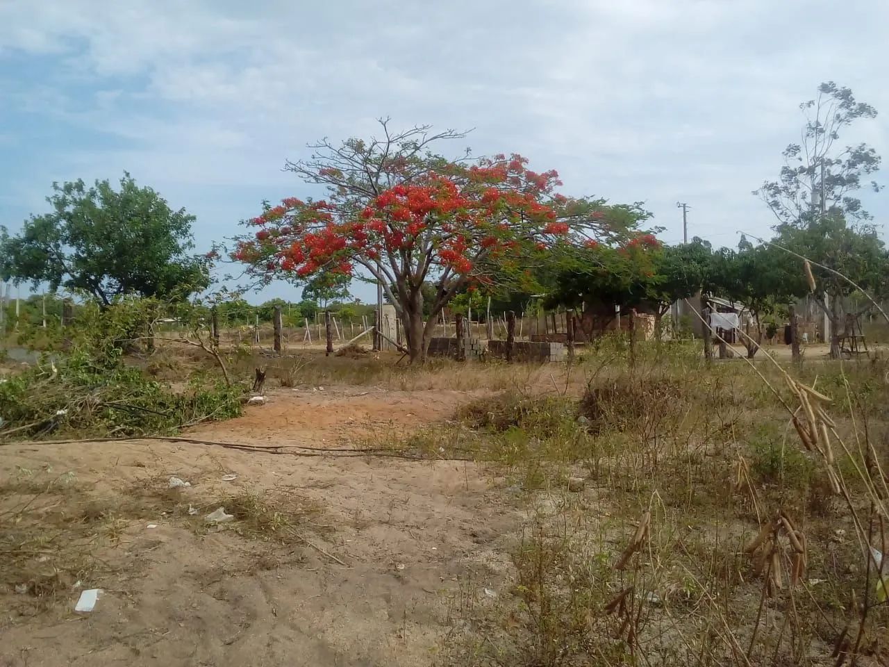 Uma linda terra, pra construí e  plantar  - Foto 5