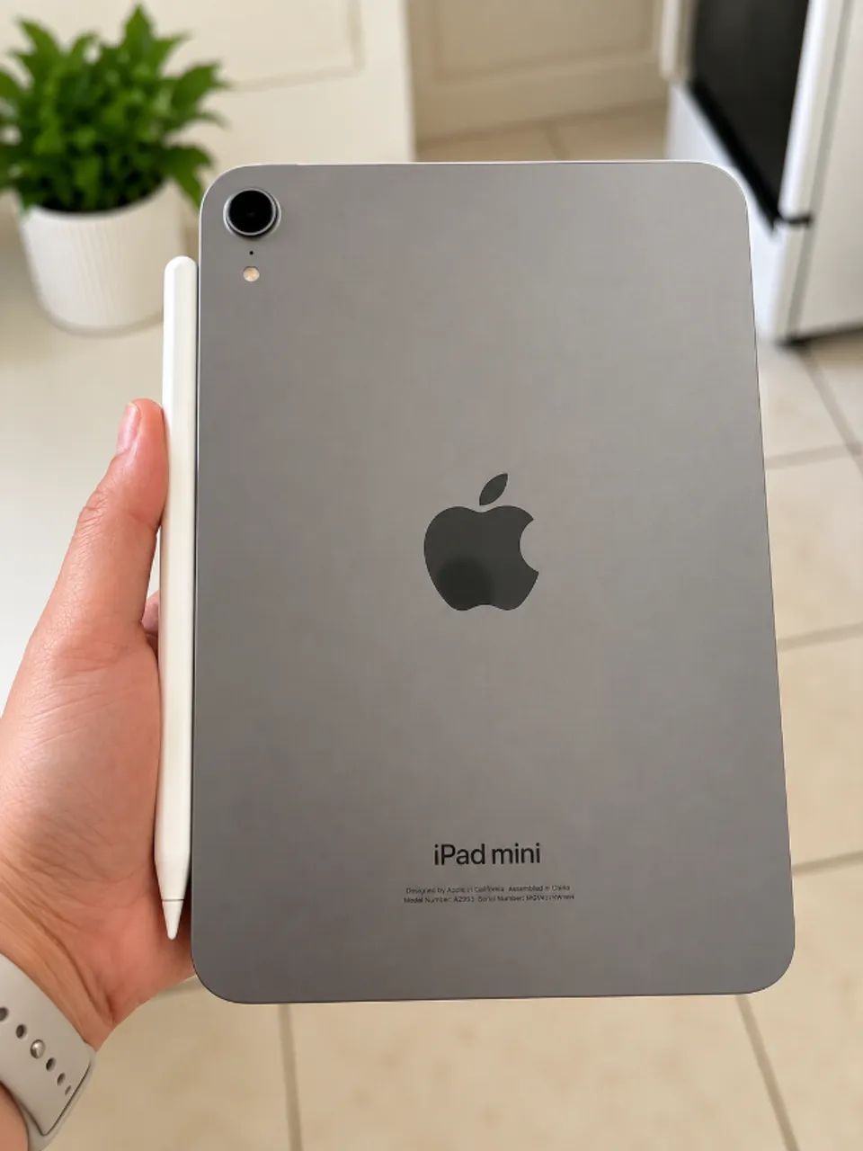 iPad mini 6ª geração + Apple Pencil 2ª geração - Notebooks - Asa