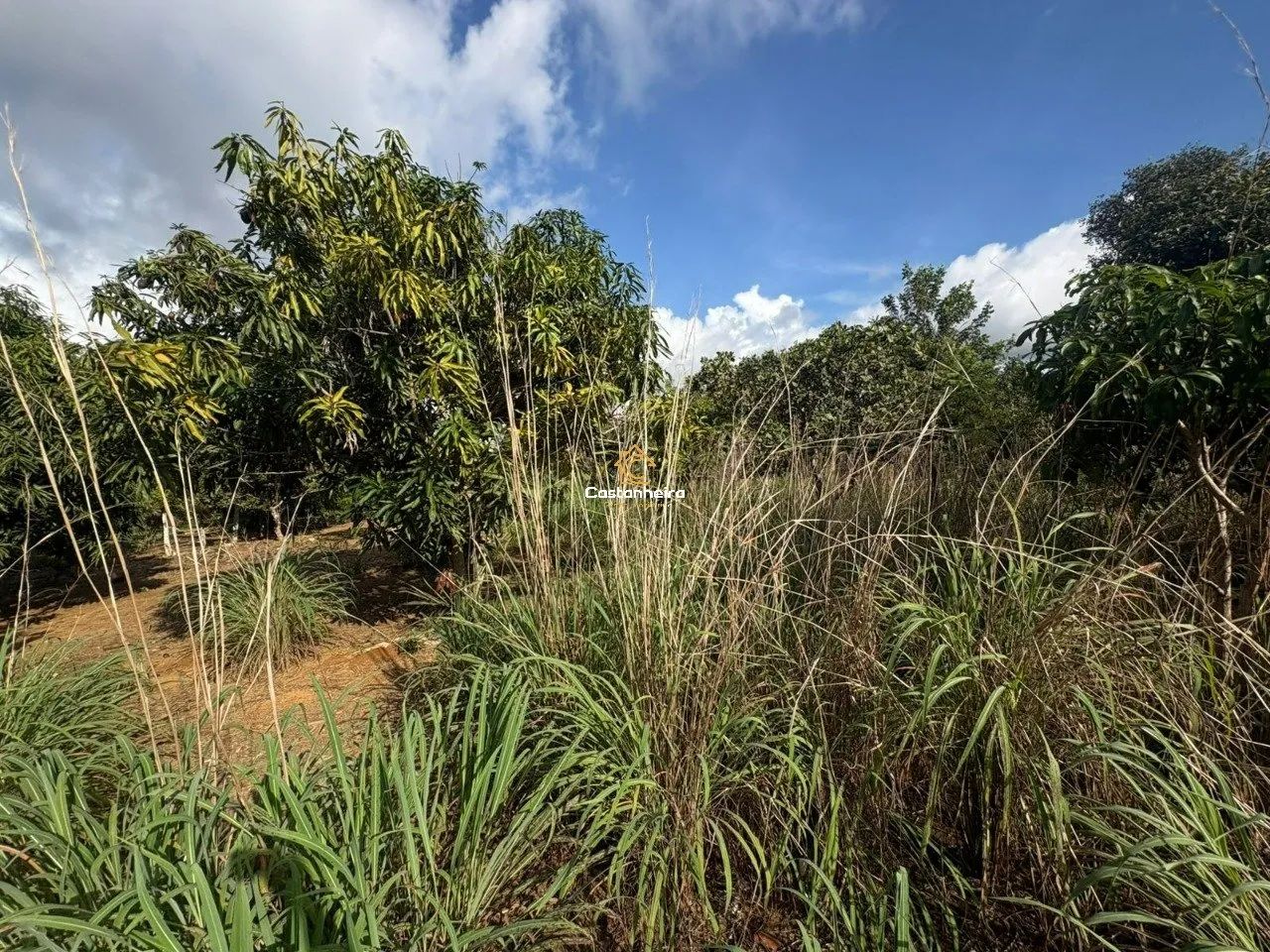 Lote Residencial 440m² - Taquarussu - Foto 2