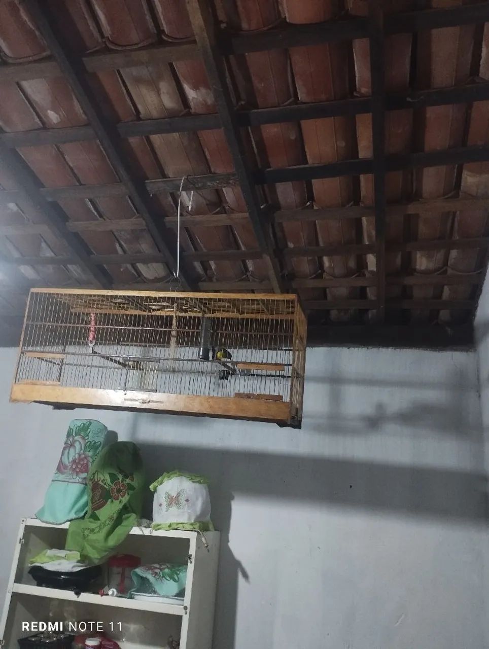 Cuida No Comércio - Foto 2