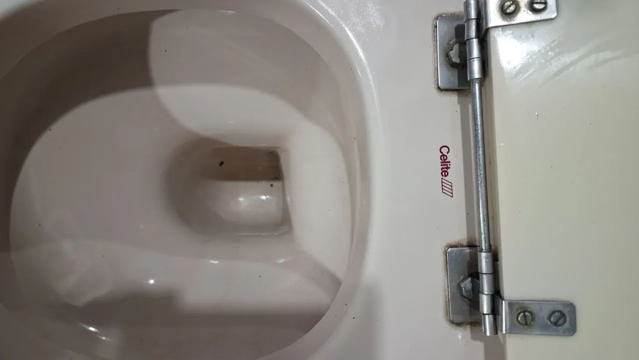 Vaso sanitário  - Foto 3