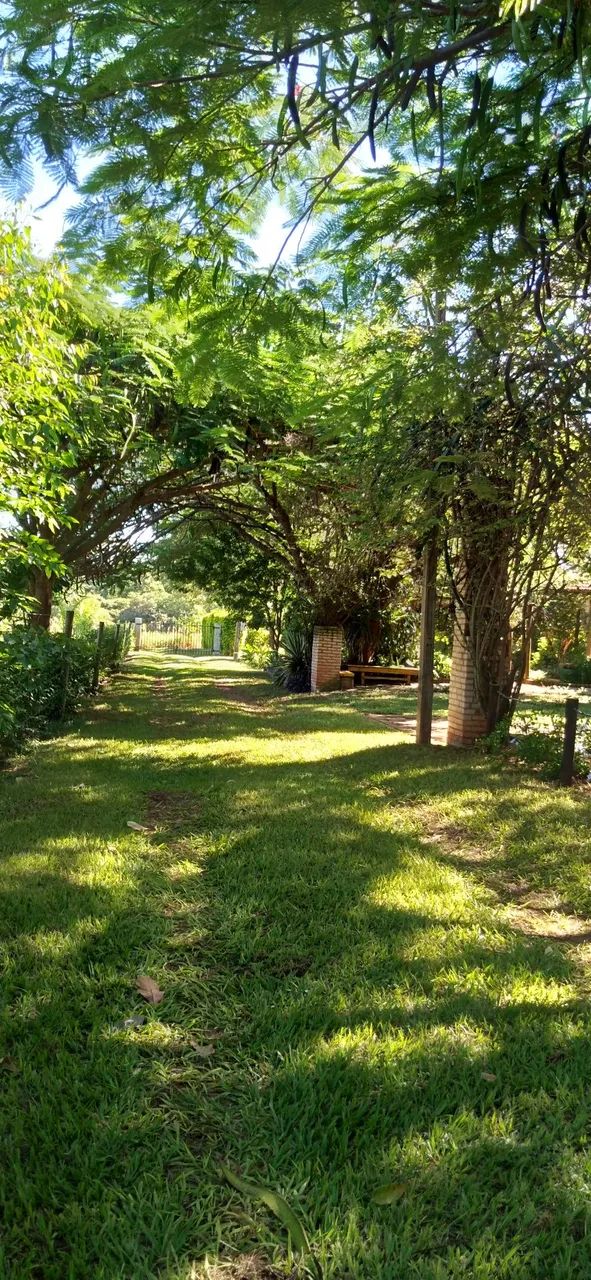 Linda Chácara um pedaço do Paraiso não perca a chance de ter um Paraíso particular. - Foto 8