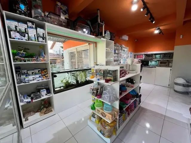 VENDO PETSHOP EM ENSEADA SÃO FRANCISCO DO SUL/SC - Foto 5