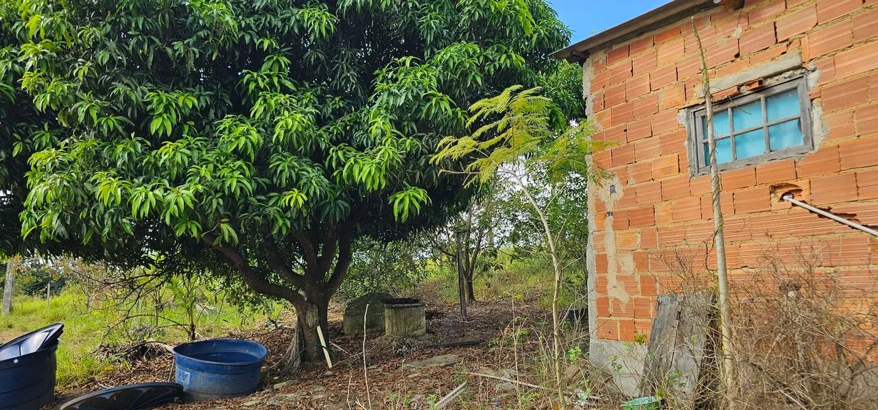 Terreno com kitnet em cantagalo - Foto 5