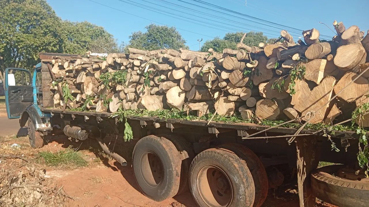 Trabalho com jardinagem gerais - Foto 4