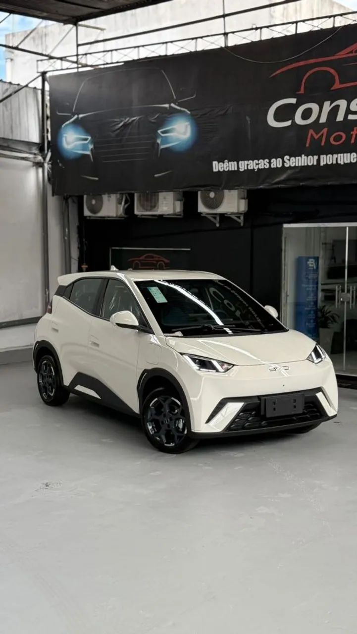 BYD Dolphin Mini (Elétrico) 2027