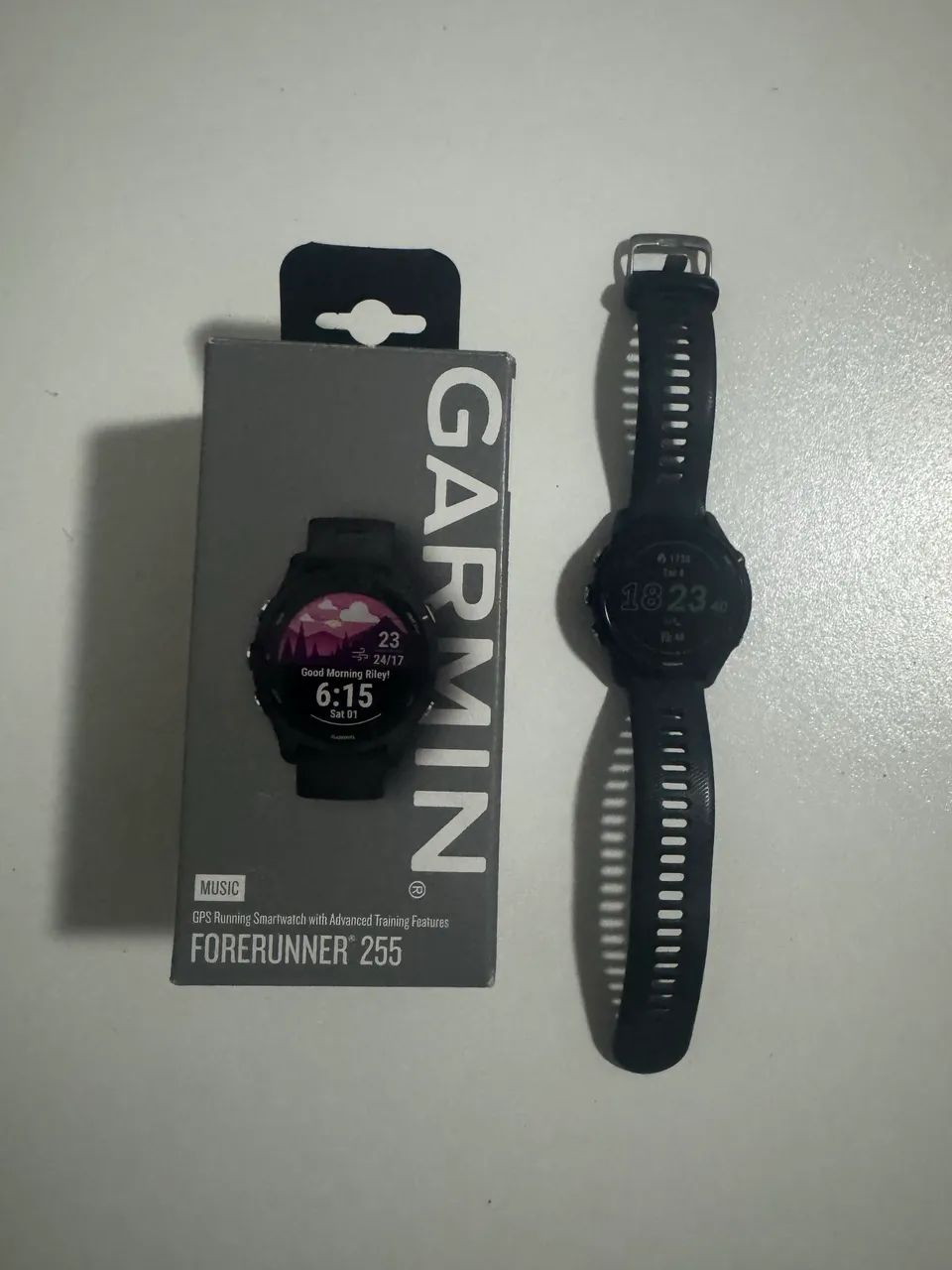 Garmin 255 music